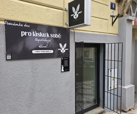 Epiluxe.cz Electrolysis Studio